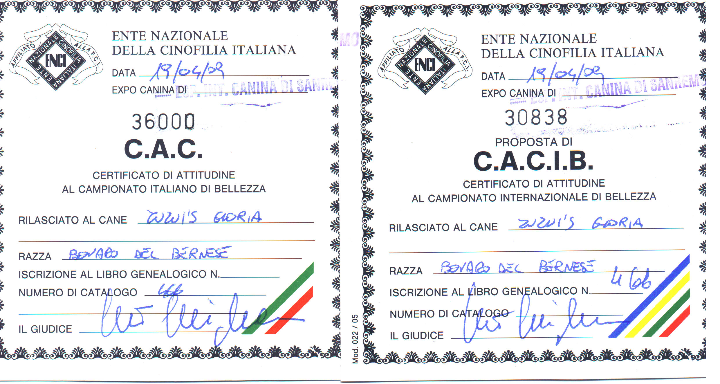 Image of cert cabib italien.jpg