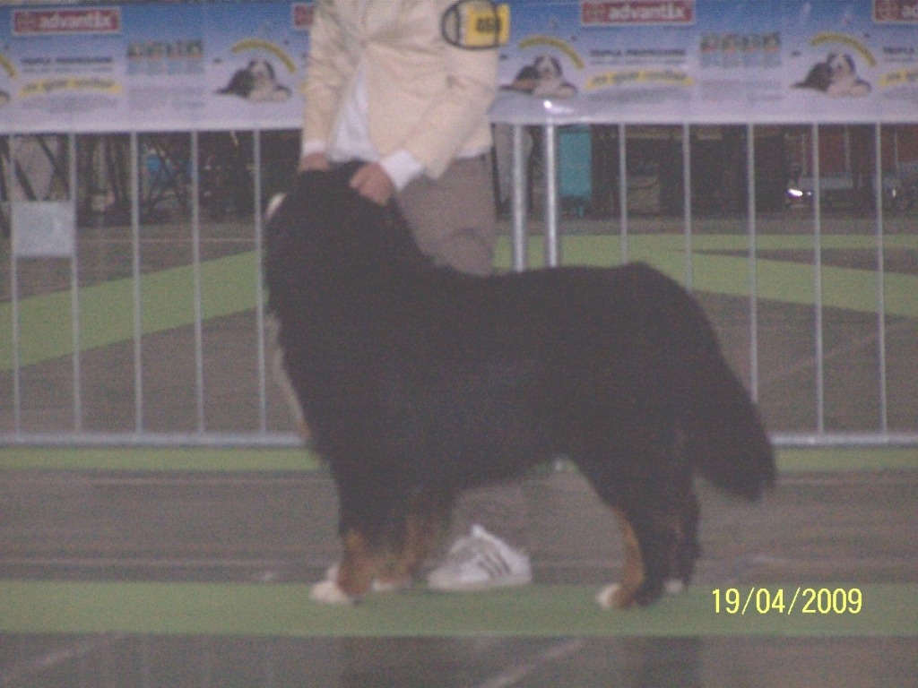 champion han i san remo - Race vinder