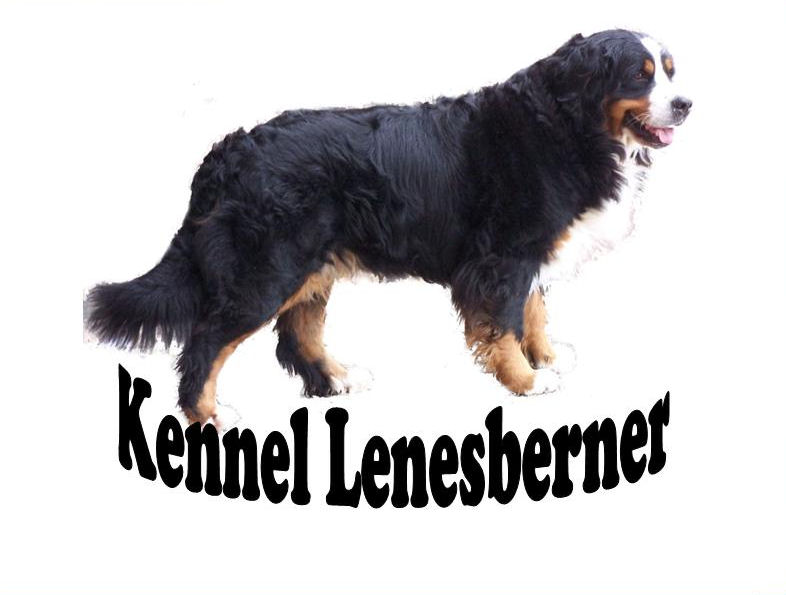 Image of lenesberner logo.jpg