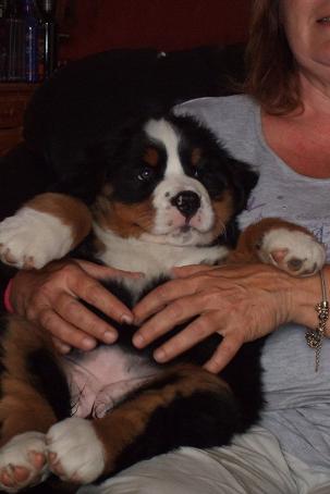Image of twix glder sig til at komme hjem.jpg